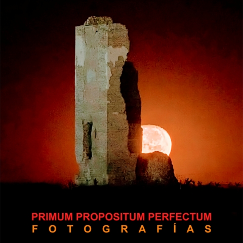 BANDEROLA FOTÓGRAFOS (003)