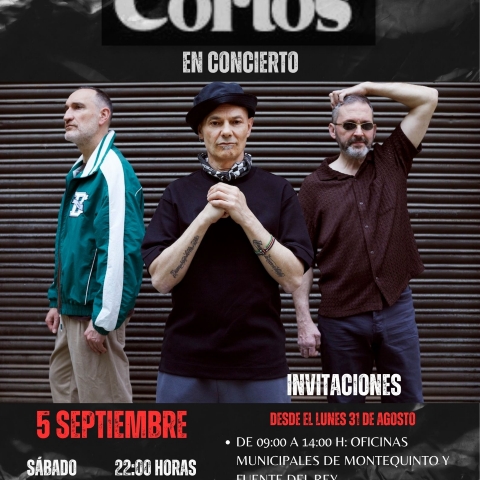Red Bold Modern Music Concert Event Poster
