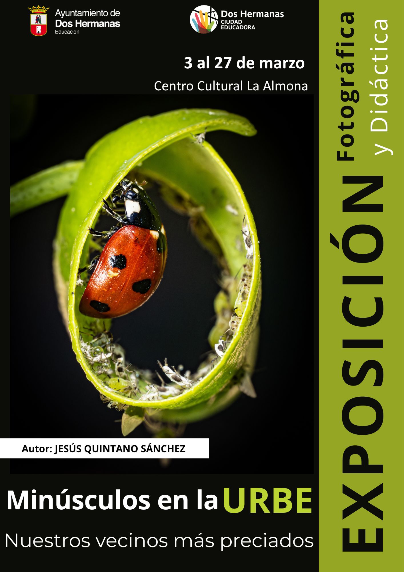 MINUSCULOS EN LA URBE