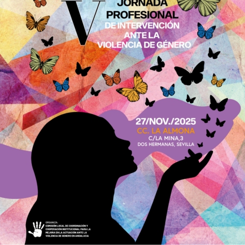 Cartel V Jornadas VG