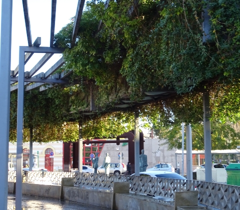 DSC01763