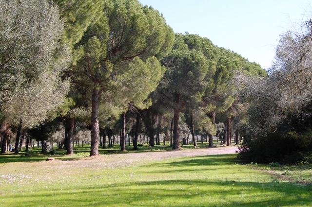 Zona de mesas en la Corchuela