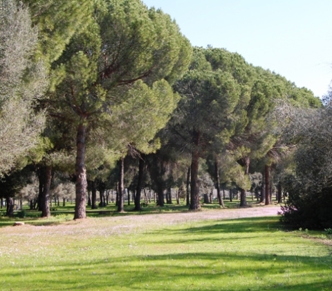 Zona de mesas en la Corchuela