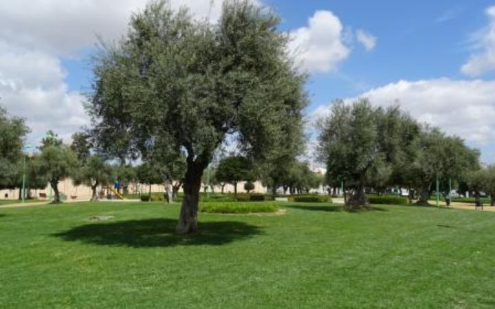 Convento de San Jose