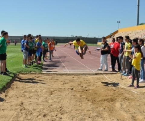 EC_DeporteWEB3
