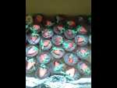 Enamorate_WEB_49