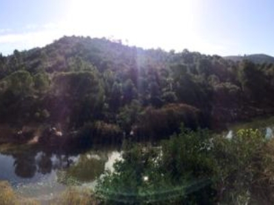 Ruta_de_los_Molinos_2