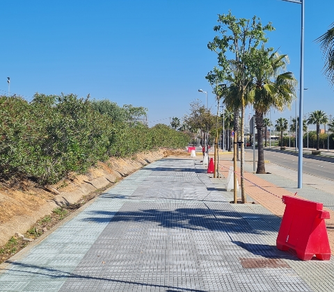 pavimentado Adolfo Suárez