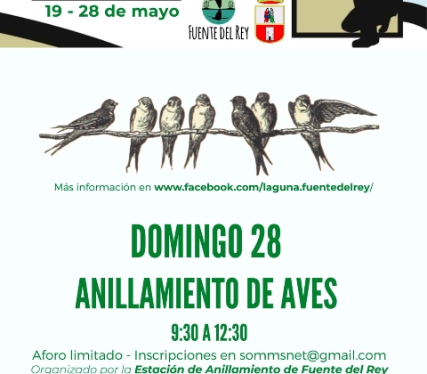 ANILLAMIENTO