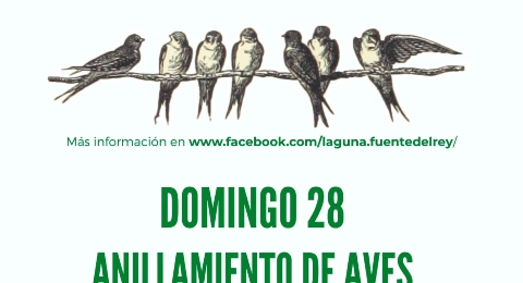 ANILLAMIENTO