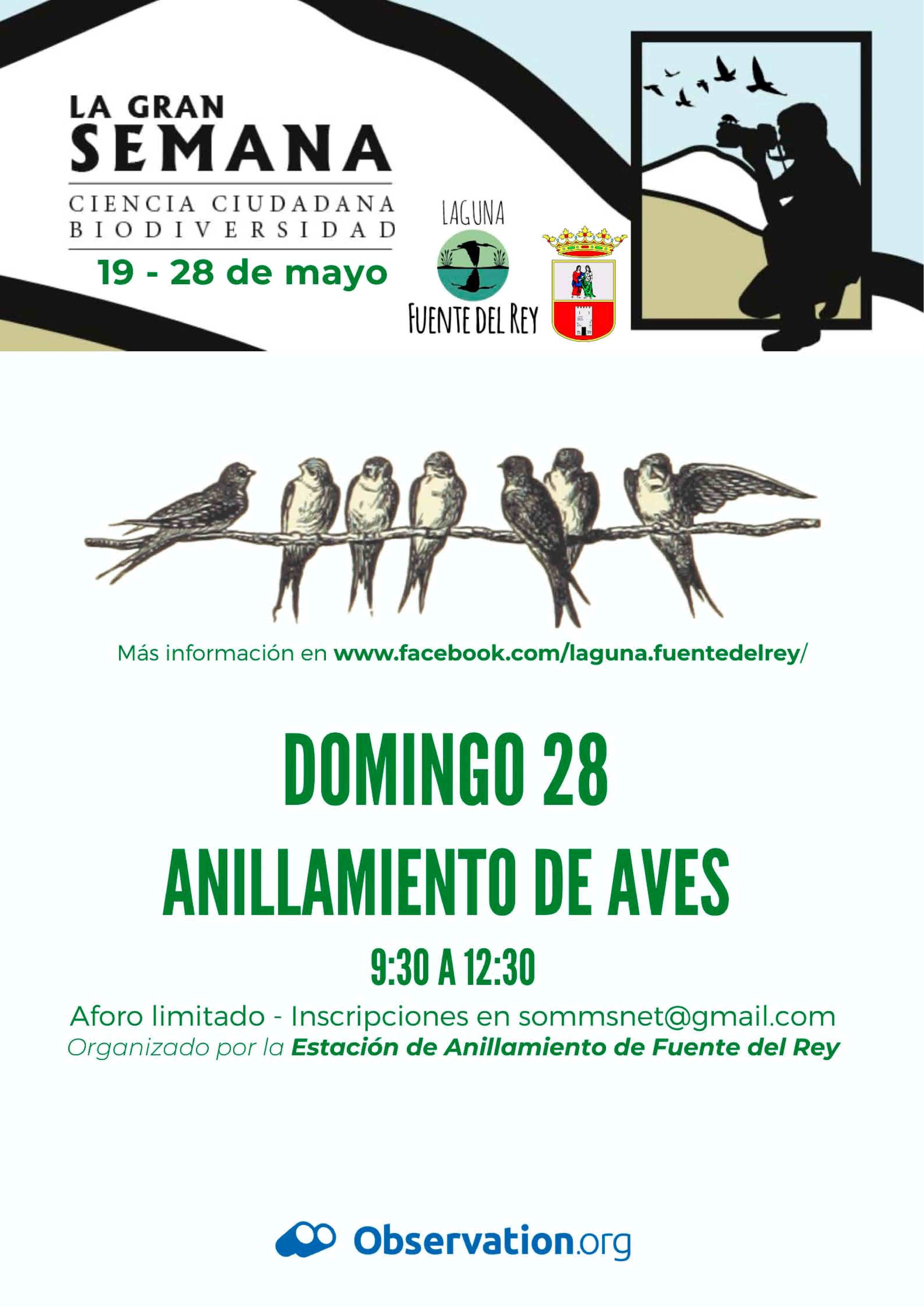 ANILLAMIENTO