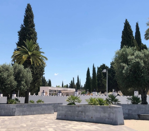 CEMENTERIO