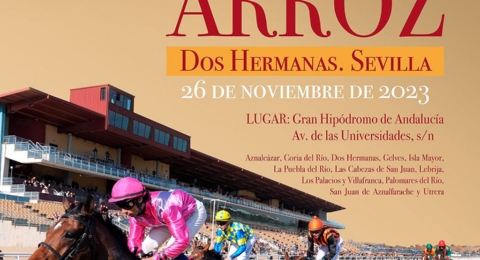 CONCURSO ARROZ PRODETUR