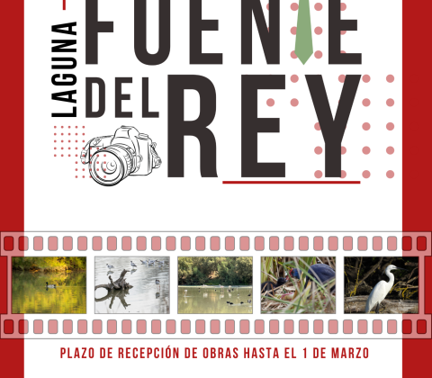 Cartel Concurso Fotográfico