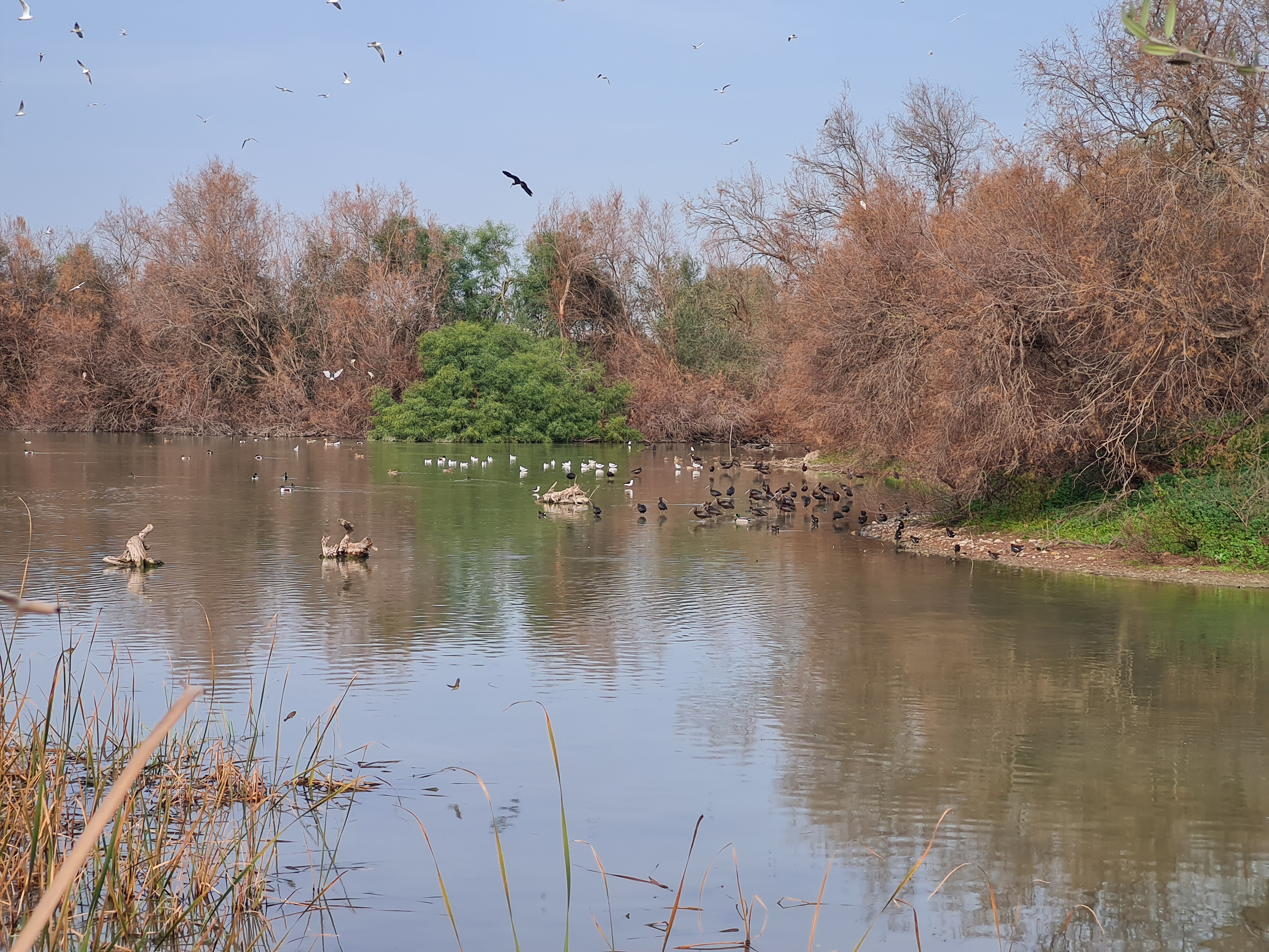 III Concurso fotográfico Laguna Fuente Rey