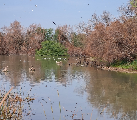 III Concurso fotográfico Laguna Fuente Rey