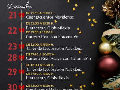 MERCADO NAVIDAD 2023 DH