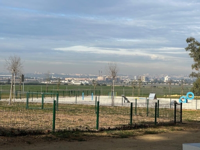 PARQUE CANINO 05jpg