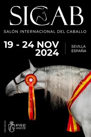 2024_cartel_provisional