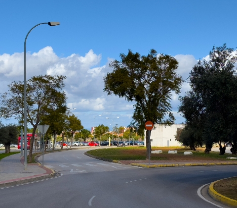 Carril bici Olivar de Quintos