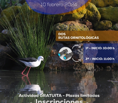 Cartel Día Humedales 2024 - Laguna Fuente del Rey_ALTA CALIDAD