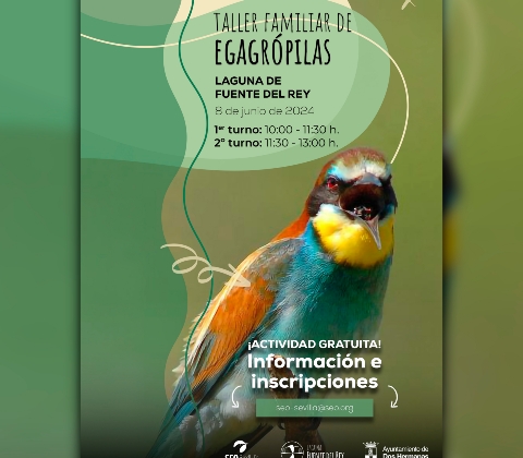 Cartel Taller Egagrópilas - JPG Final 1x1 02