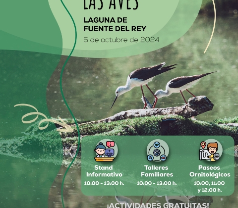 Día Mundial Aves 2024 - Final 04