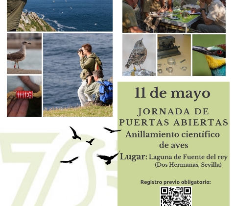 Fuente del Rey - Jornada puertas abiertas JPG-min