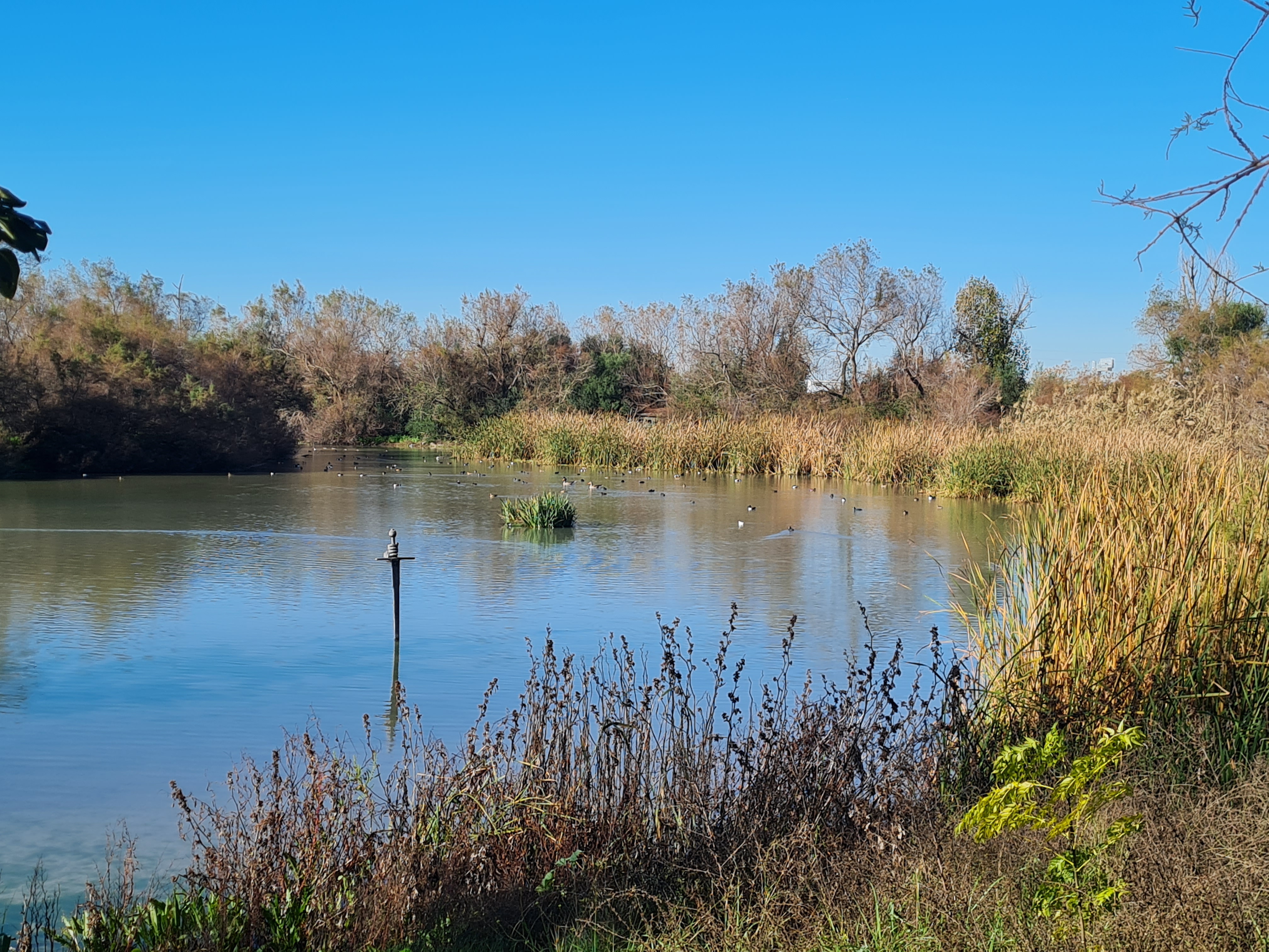 Visitas anuales Laguna Fuente del Rey