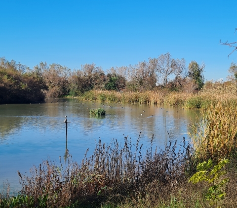 Visitas anuales Laguna Fuente del Rey