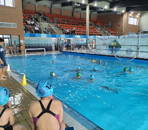 WATERPOLO