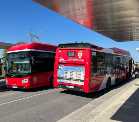 buses01