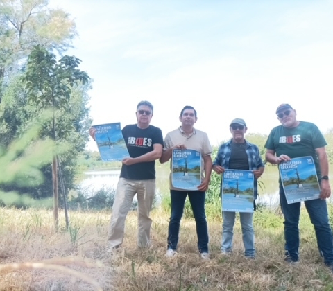 lagunablues