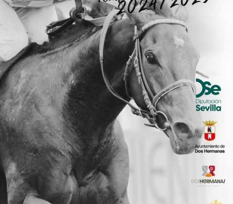 CARRERAS CABALLOS