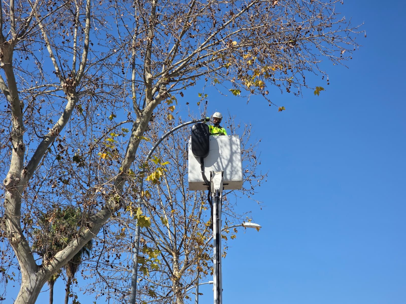 ALUMBRADO CRUCE PEATONES