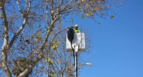 ALUMBRADO CRUCE PEATONES