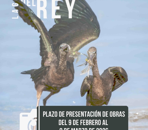 CONCURSO FUENTE DEL REY 2025