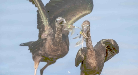 CONCURSO FUENTE DEL REY 2025