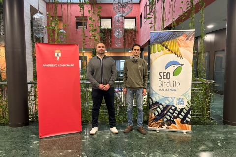 CONVENIO SEO AYTO DOS HERMANAS