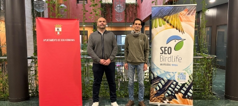 CONVENIO SEO AYTO DOS HERMANAS