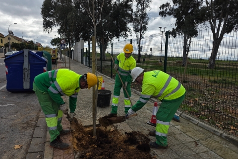 Campaña plantación (1)