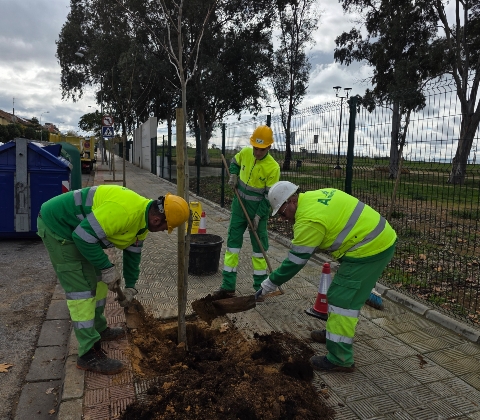 Campaña plantación (1)