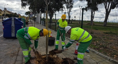 Campaña plantación (1)