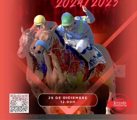 Carreras Caballos 29 de diciembre 2024