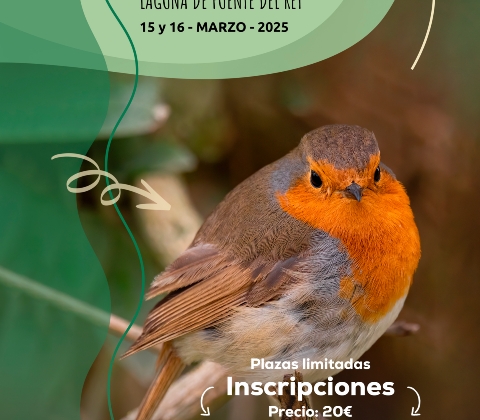 Cartel Curso Ornitología - DELANTE - JPG 01