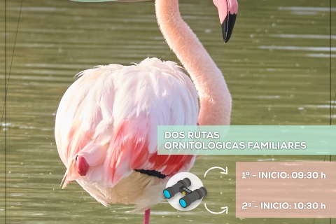 Cartel Día Mundial Medio Ambiente 2025 - JPG 01