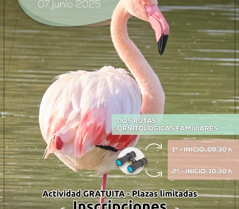 Cartel Día Mundial Medio Ambiente 2025 - JPG 01