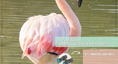 Cartel Día Mundial Medio Ambiente 2025 - JPG 01