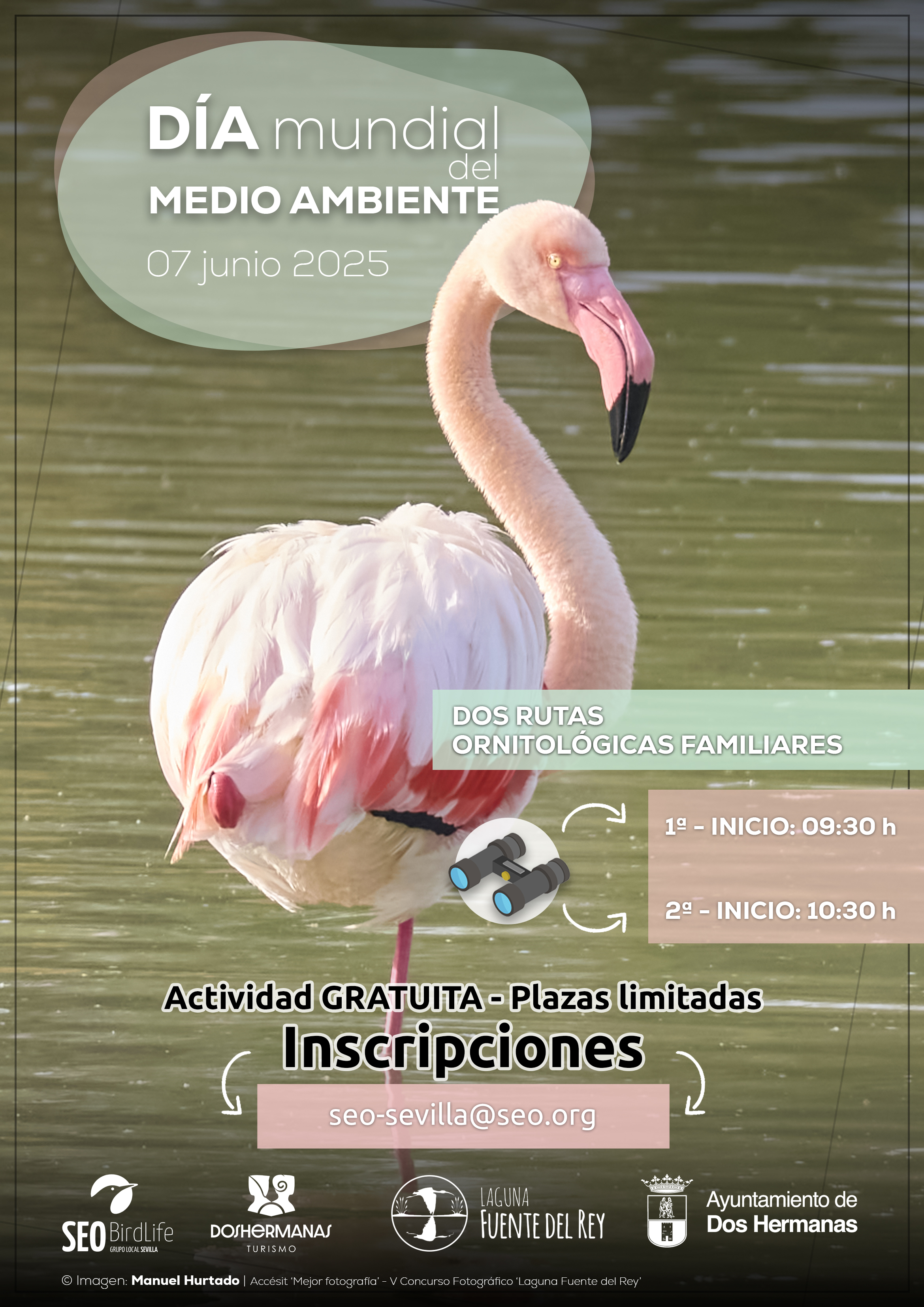 Cartel Día Mundial Medio Ambiente 2025 - JPG 01