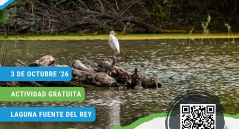 DIA DE LAS AVES EN FUENTE REY